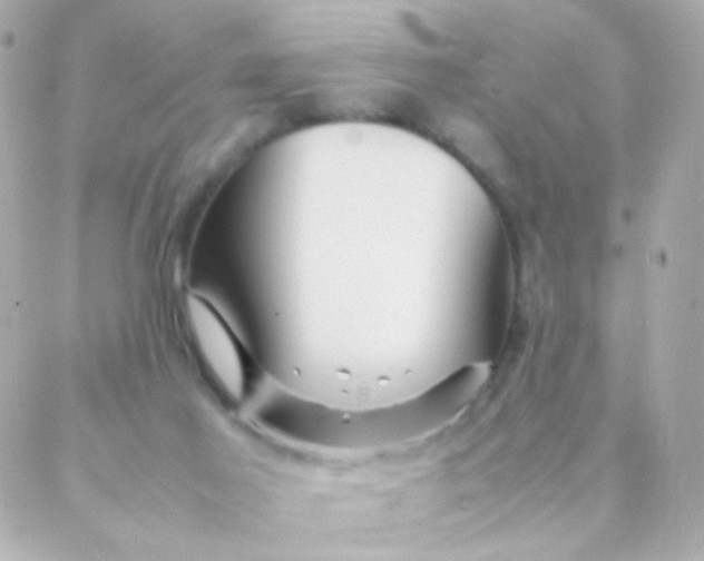 X0000088130021200705291344