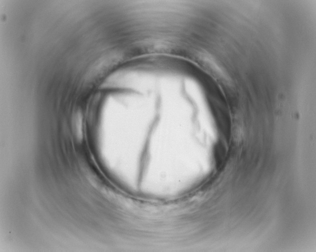 X0000088130022200705291344