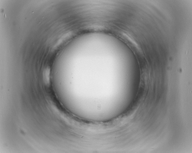 X0000088130024200705291344