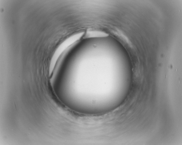 X0000088130025200705291344