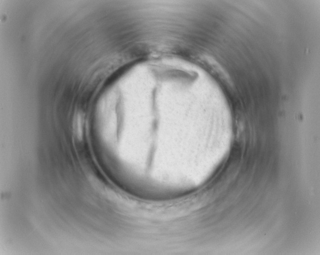 X0000088130026200705291344