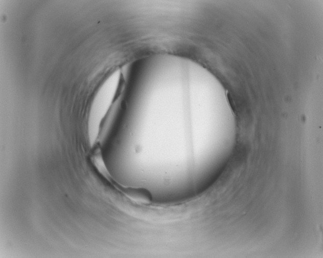 X0000088130027200705291344