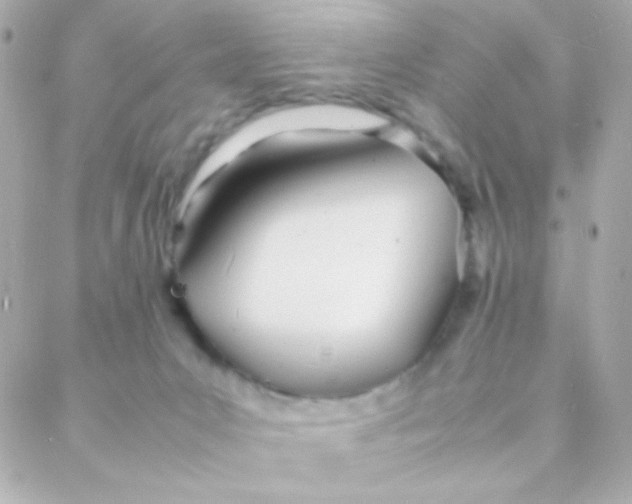 X0000088130031200705291344