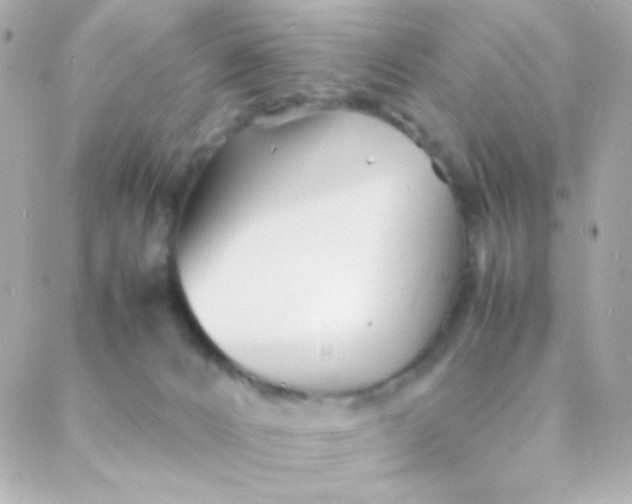 X0000088130032200705291344