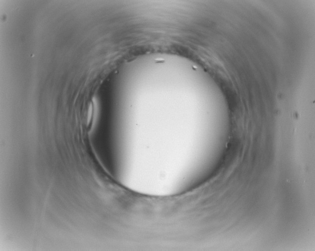 X0000088130033200705291344