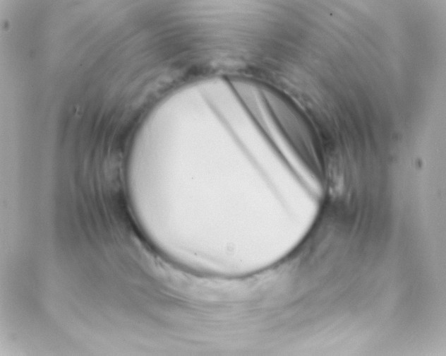 X0000088130034200705291344