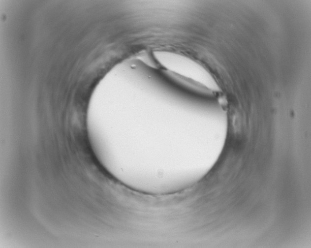 X0000088130035200705291344