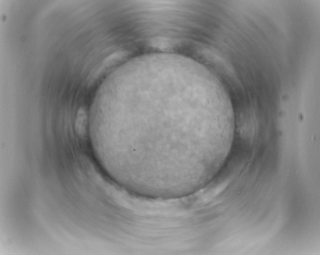 X0000088130036200705291344