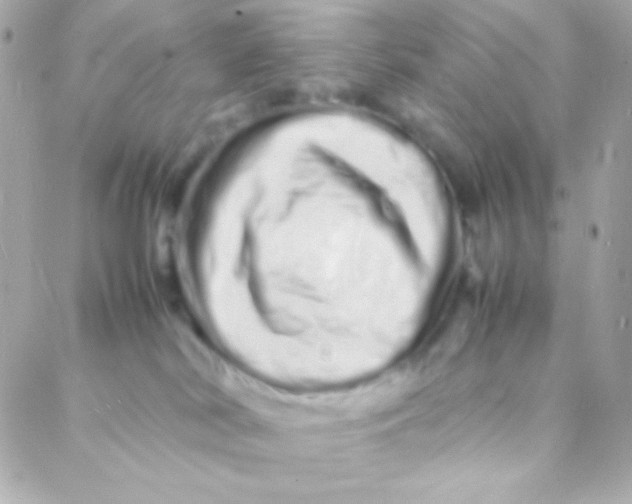 X0000088130038200705291344