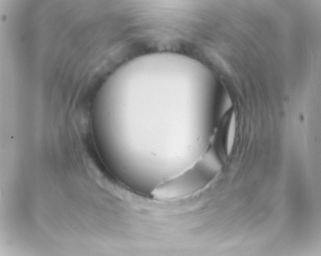 X0000088130039200705291344