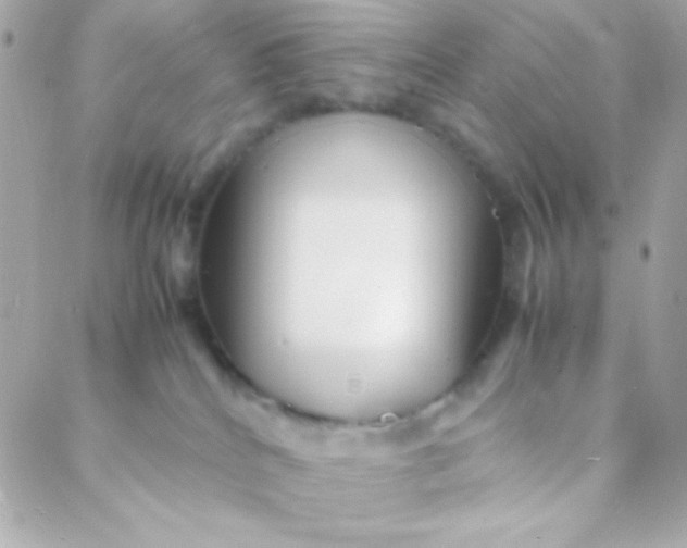 X0000088130040200705291344