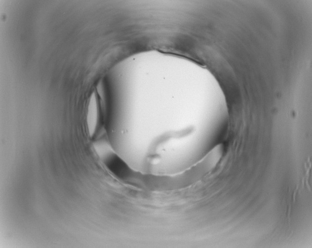 X0000088130041200705291344