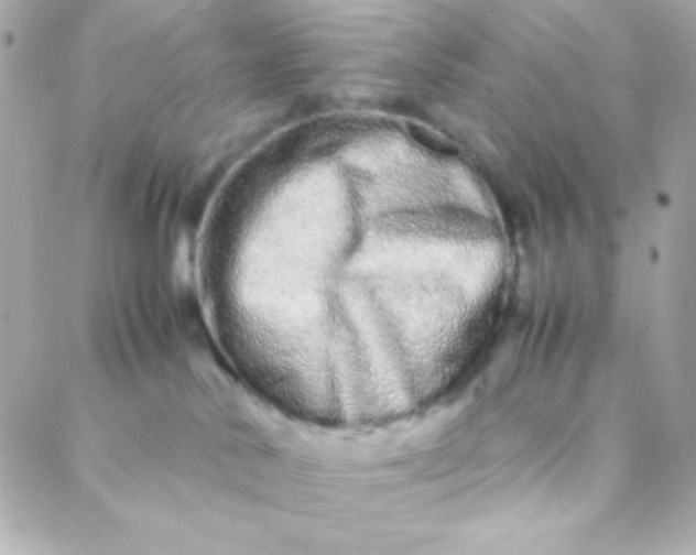 X0000088130042200705291344