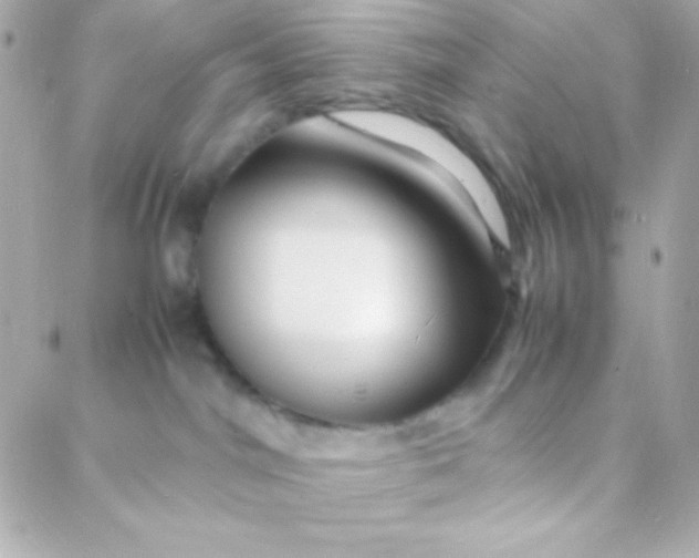 X0000088130044200705291344