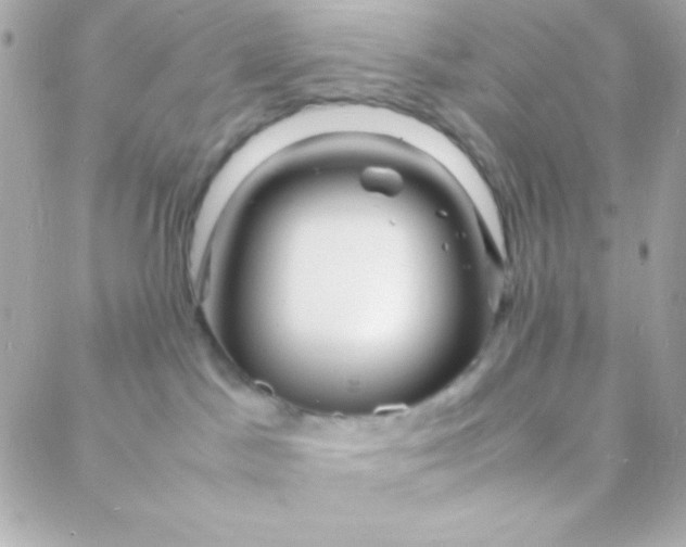 X0000088130045200705291344