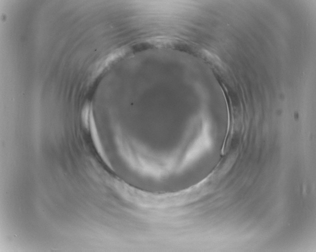 X0000088130047200705291344