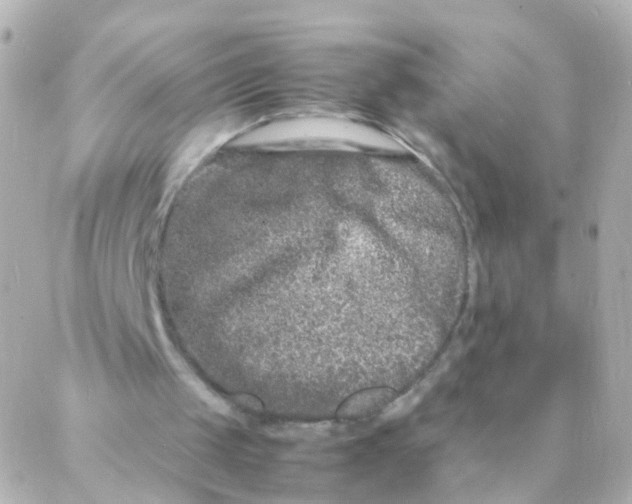 X0000088130049200705291343