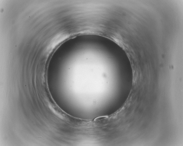 X0000088130050200705291343