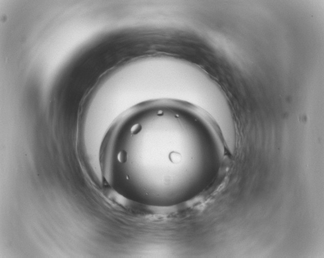 X0000088130052200705291343