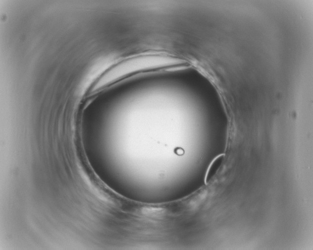 X0000088130055200705291343