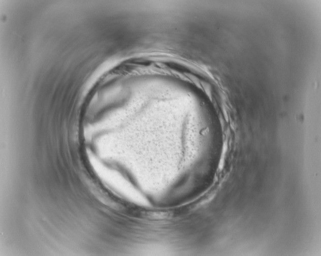 X0000088130056200705291343