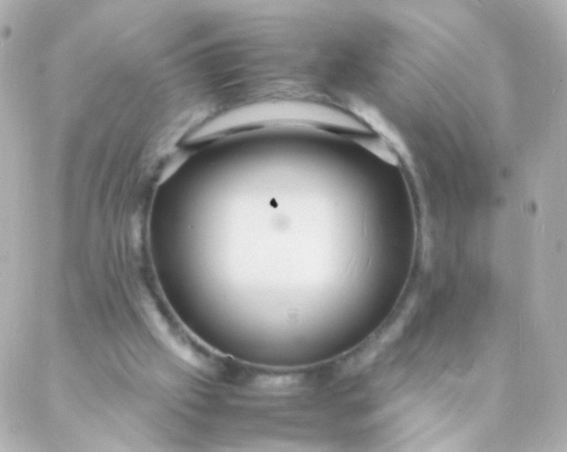 X0000088130057200705291343