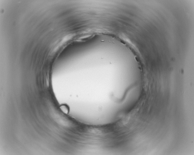 X0000088130062200705291343