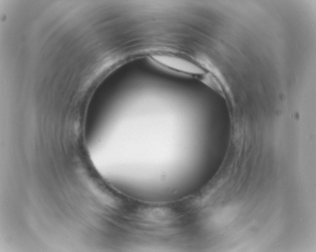 X0000088130063200705291343