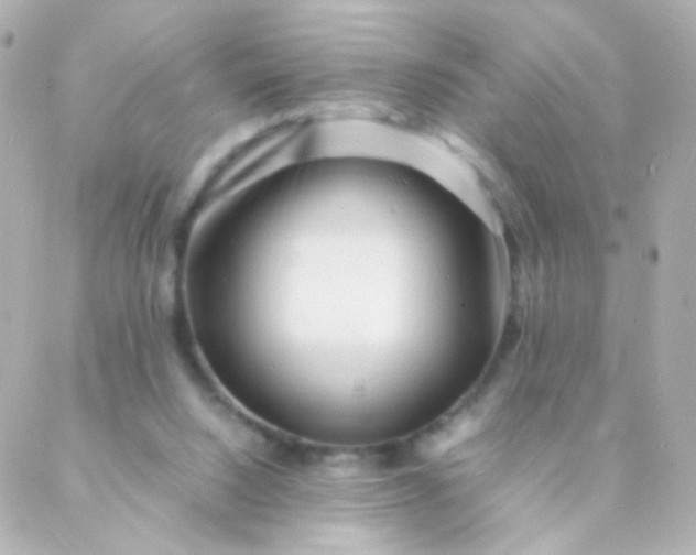 X0000088130064200705291343