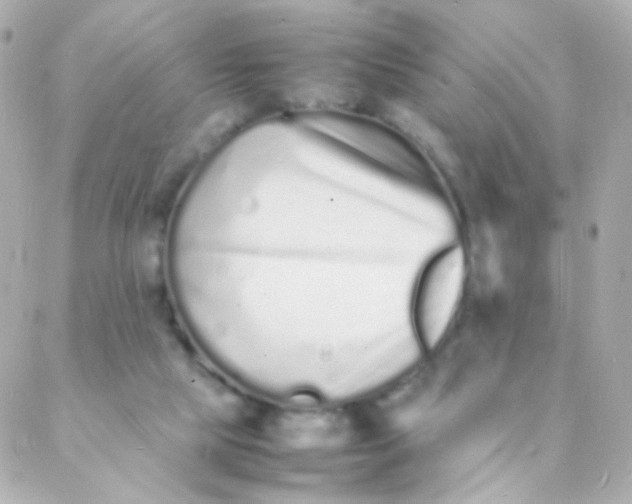 X0000088130065200705291343