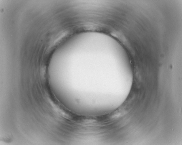 X0000088130066200705291343