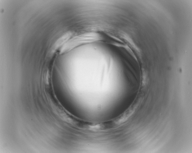 X0000088130068200705291343