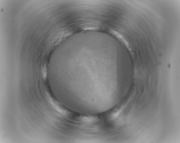 X0000088130069200705291343