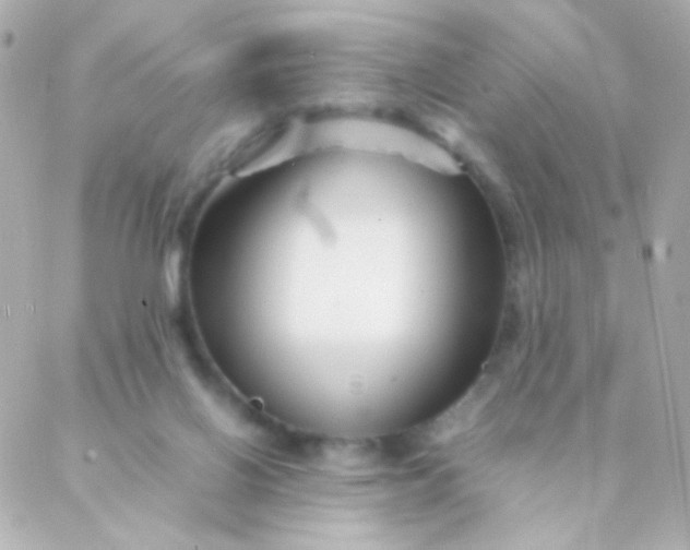 X0000088130070200705291343