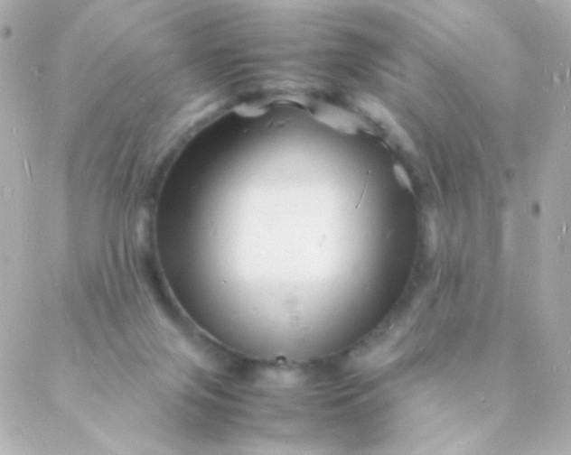 X0000088130071200705291343