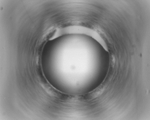 X0000088130072200705291343