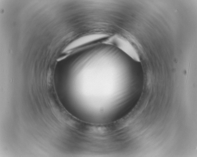 X0000088130073200705291343