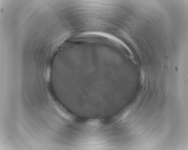 X0000088130076200705291343