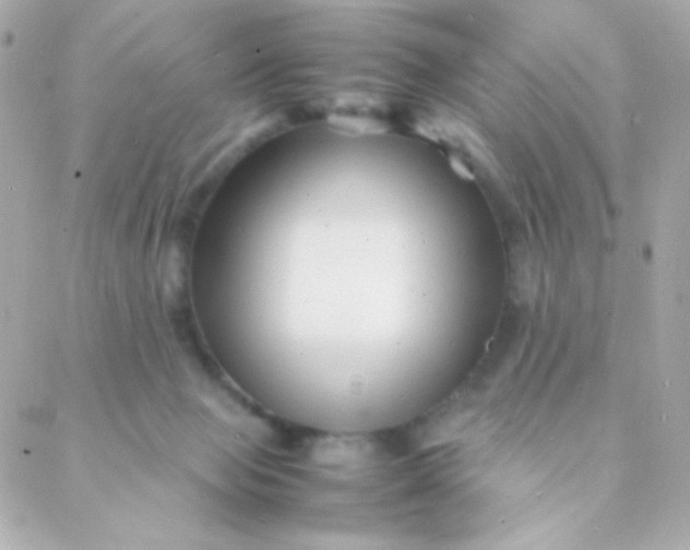 X0000088130077200705291343