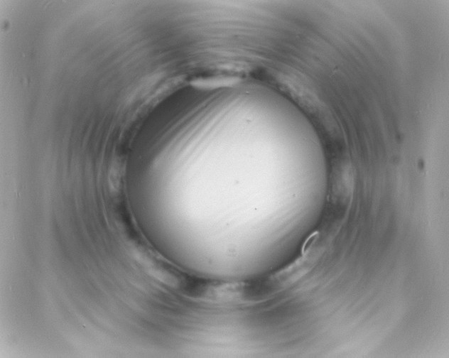 X0000088130078200705291343