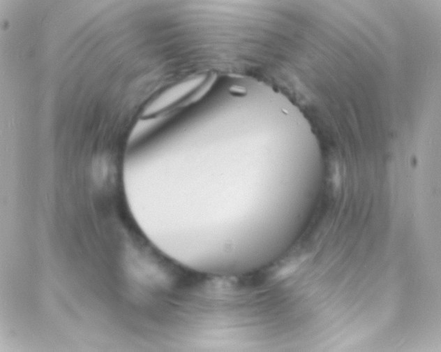 X0000088130080200705291343