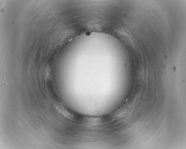 X0000088130081200705291343