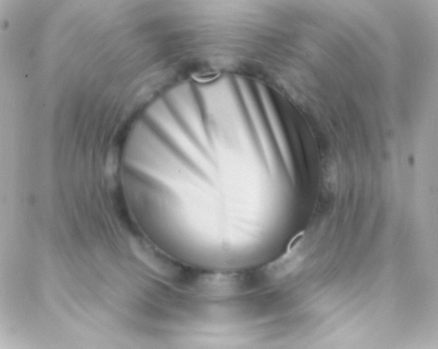 X0000088130082200705291343