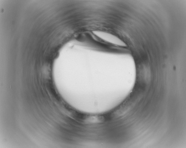 X0000088130083200705291343