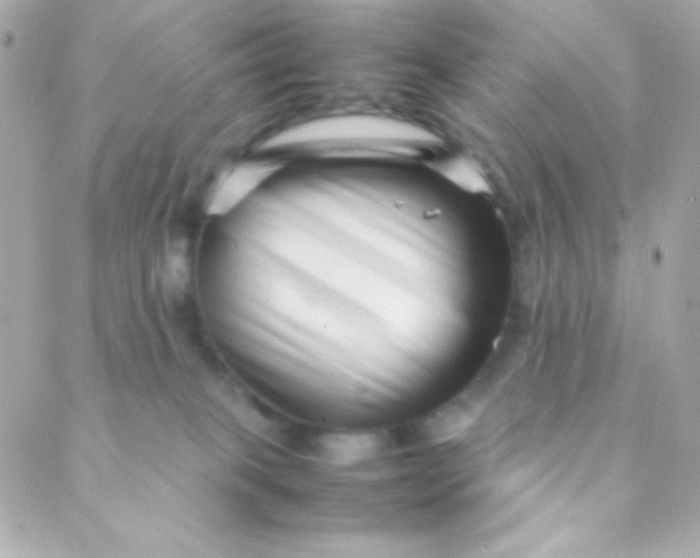 X0000088130085200705291343