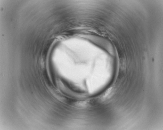 X0000088130086200705291343