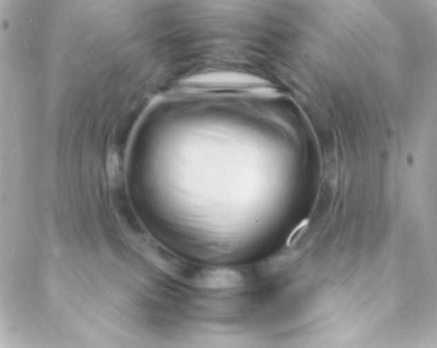 X0000088130087200705291343