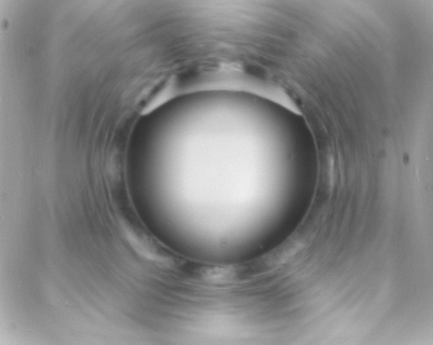 X0000088130088200705291343