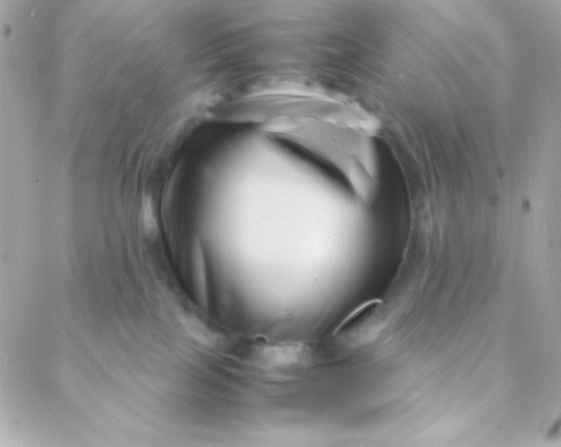 X0000088130089200705291343