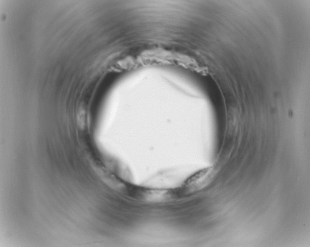 X0000088130090200705291343